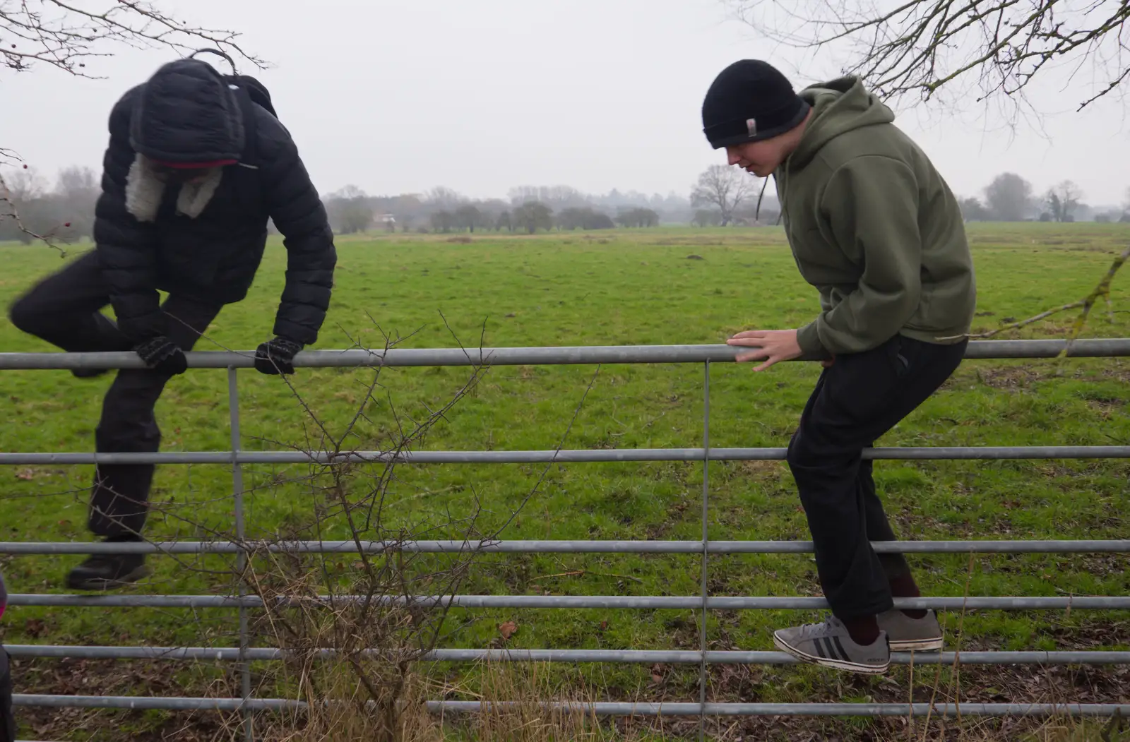 The boys take the easy route over a gate, from Another Walk to the Crossways, Scole, Norfolk - 25th January 2026