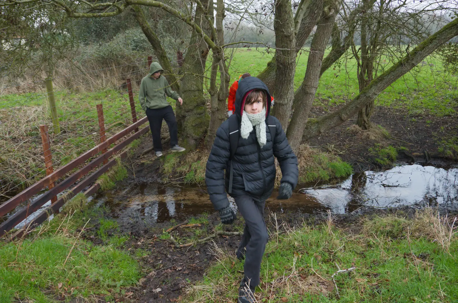 Harry emerges from the Scole creek, from Another Walk to the Crossways, Scole, Norfolk - 25th January 2026