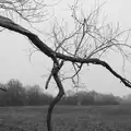 Harry takes the camera and gets a moody shot, Another Walk to the Crossways, Scole, Norfolk - 25th January 2026