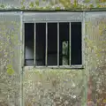 Harry's photo of a shed window and lichen, Another Walk to the Crossways, Scole, Norfolk - 25th January 2026