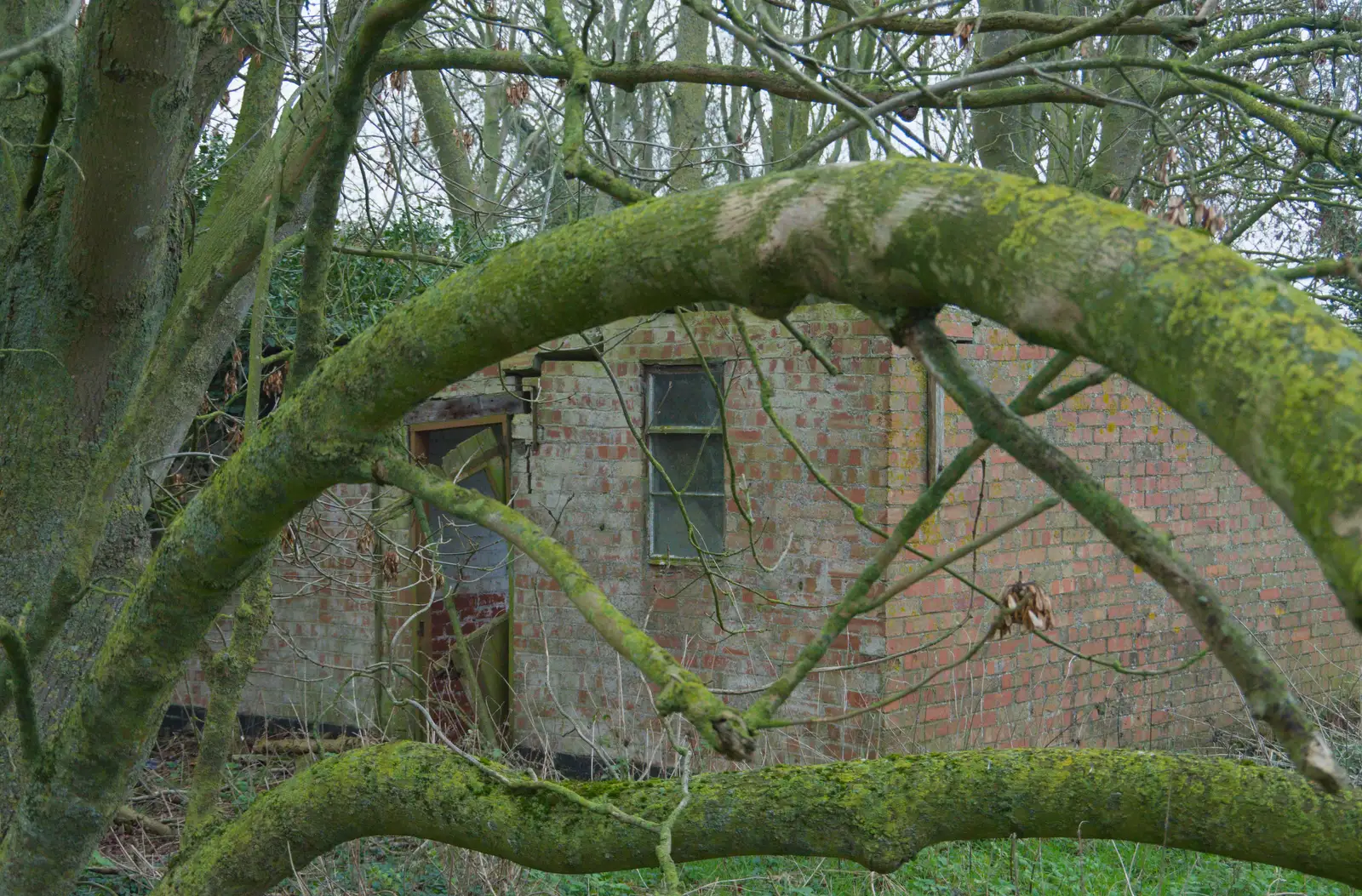 Abandoned WWII buildings, from Another Walk to the Crossways, Scole, Norfolk - 25th January 2026