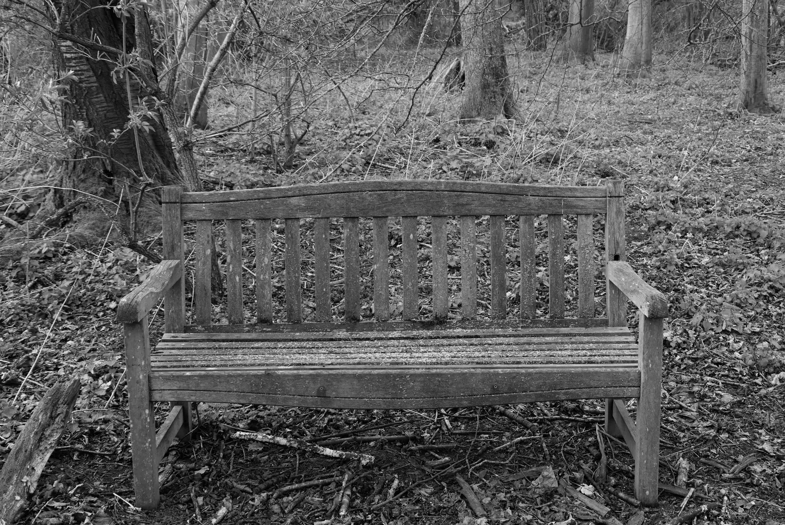 An abandoned bench in the woods , from A Small March Miscellany, Eye, Suffolk - 18th MArch 2026