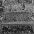 An abandoned bench in the woods , A Small March Miscellany, Eye, Suffolk - 18th MArch 2026