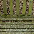 Lichen and green wood on an old bench, A Small March Miscellany, Eye, Suffolk - 18th MArch 2026