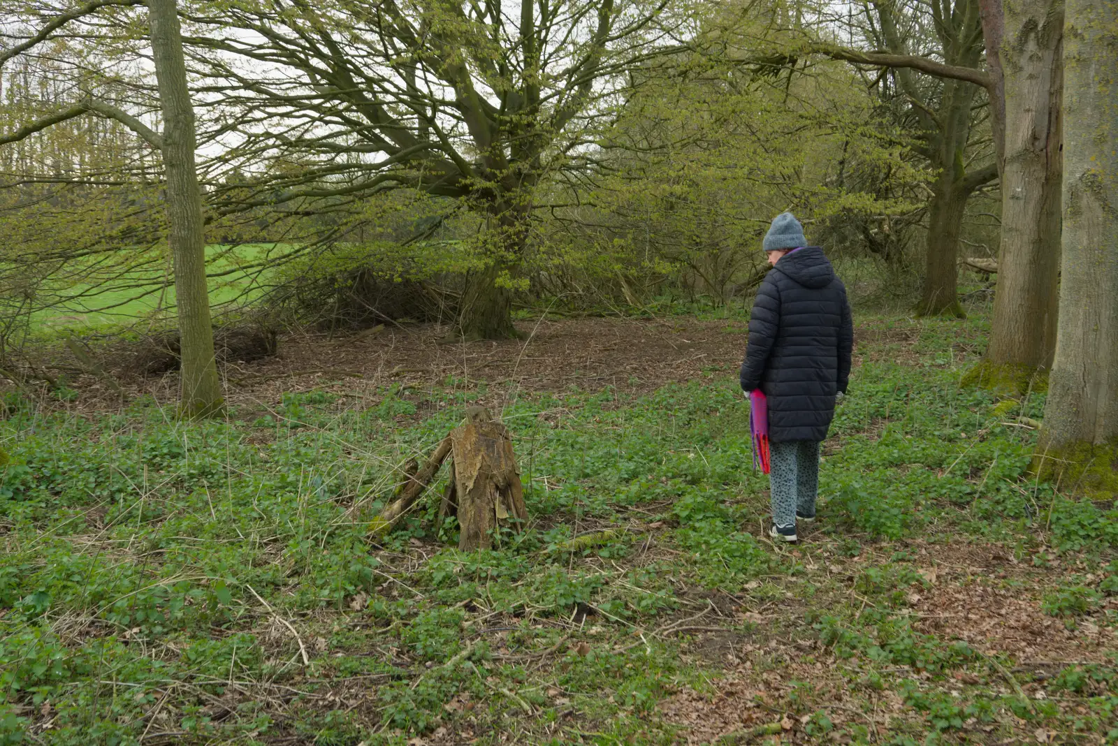 Isobel roams around, from A Small March Miscellany, Eye, Suffolk - 18th MArch 2026