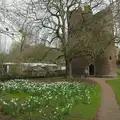 Cow Tower and some late daffodils, The SYWO at Holbrook, and a Trip to Norwich - 1st April 2026