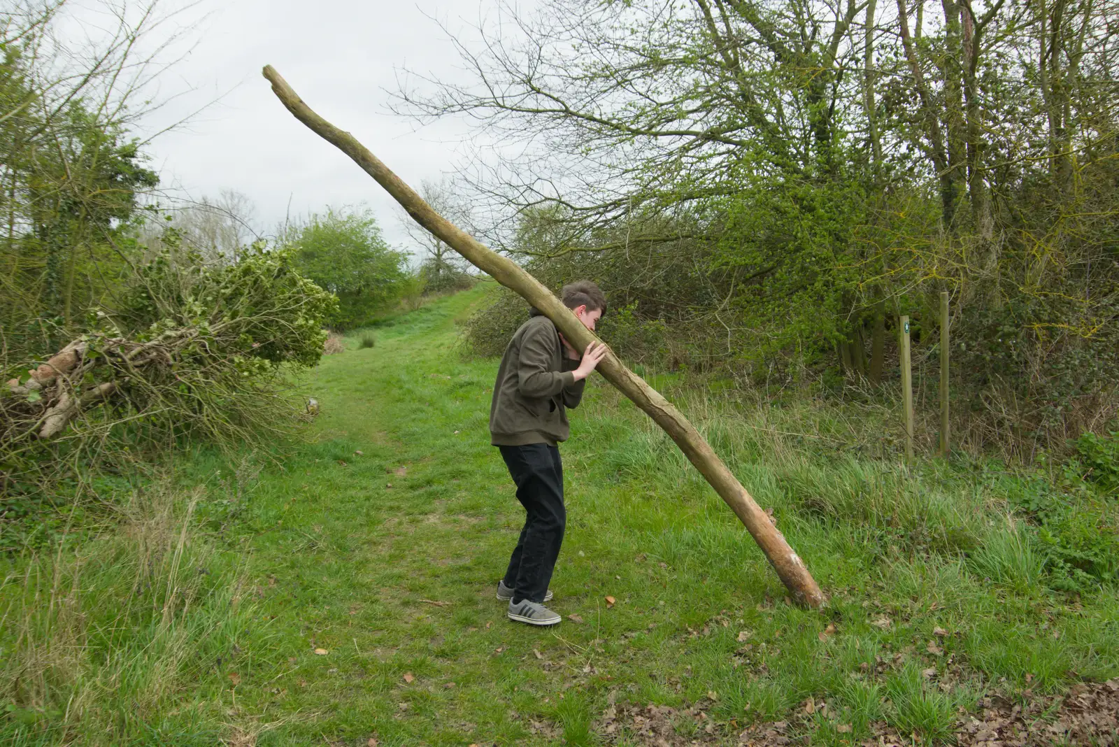 Fred's got a log, from Walking Around, and Fred's Log, Brome, Suffolk - 3rd April 2026