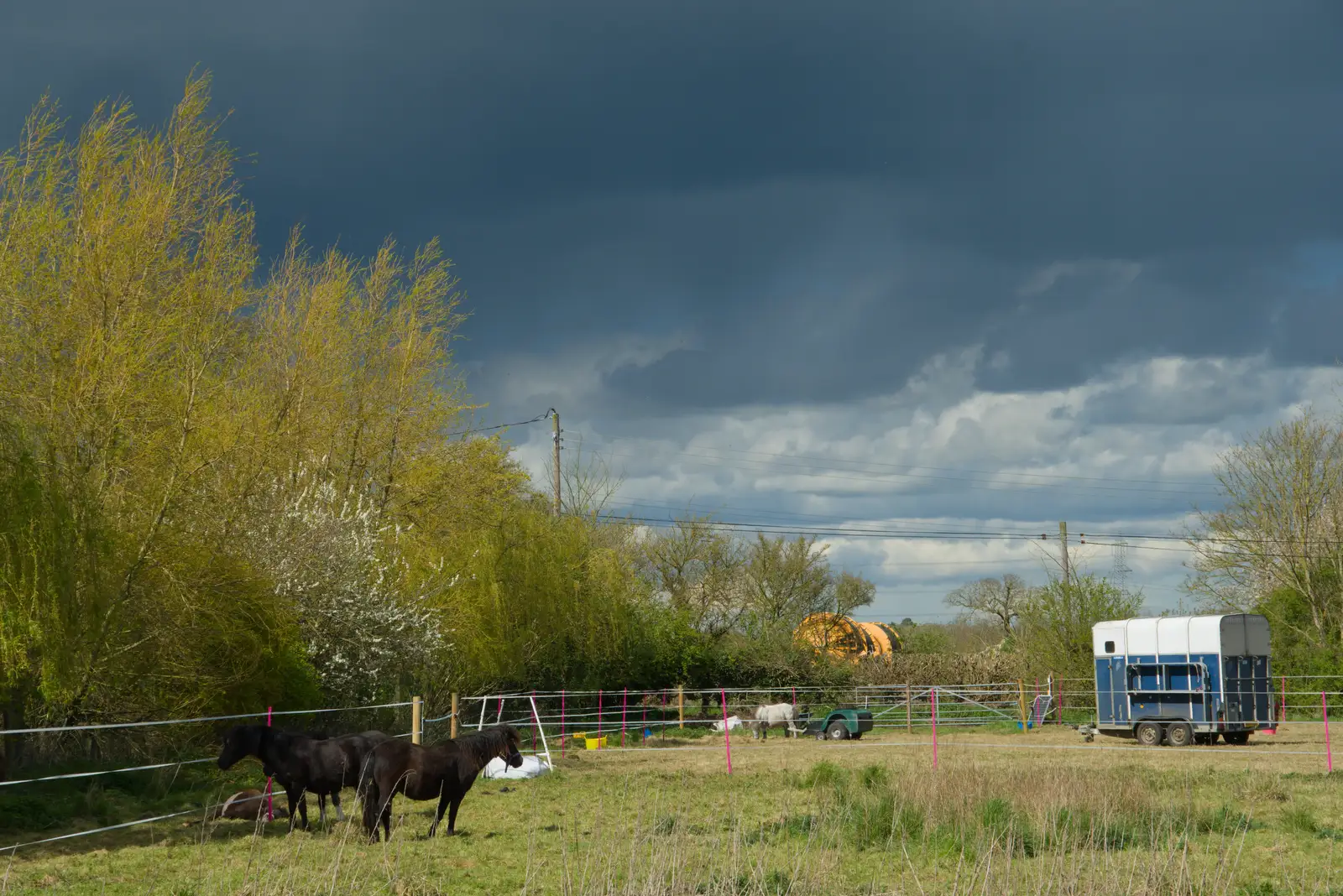 Dark skies over the miniature ponies, from Walking Around, and Fred's Log, Brome, Suffolk - 3rd April 2026