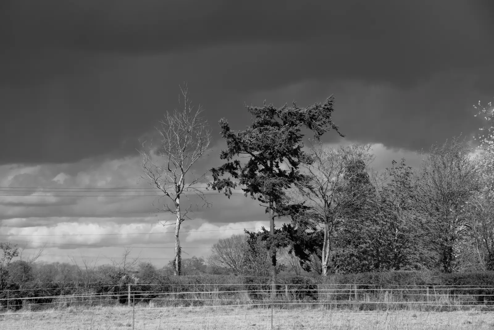 It's wholly dark over at Will's Mother's, from Walking Around, and Fred's Log, Brome, Suffolk - 3rd April 2026