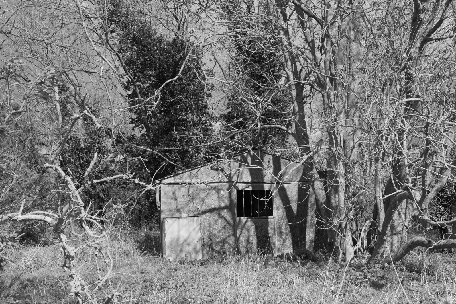 The derelict shed, from Walking Around, and Fred's Log, Brome, Suffolk - 3rd April 2026