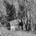 The derelict shed, Walking Around, and Fred's Log, Brome, Suffolk - 3rd April 2026
