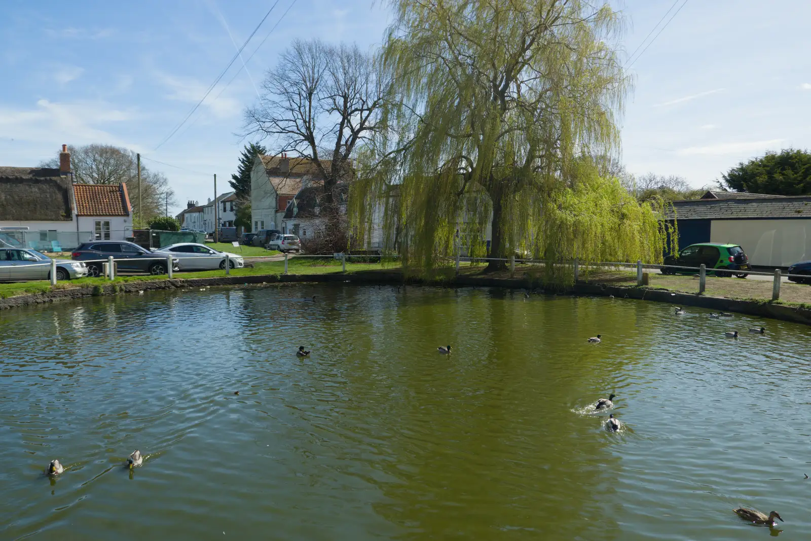 Martham's village duck pond, from A Visit to Winterton-on-Sea, Norfolk - 6th April 2026