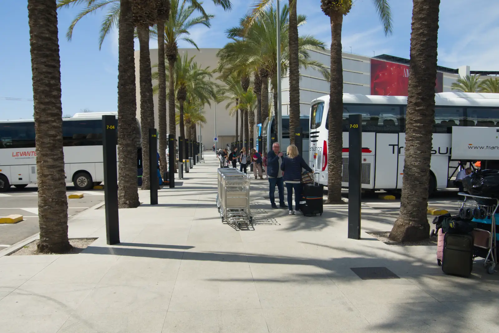 Palm trees at Palma, from Hauling Boats to Croatia: Palma, Mallorca to Toulon, France - 9th April 2026