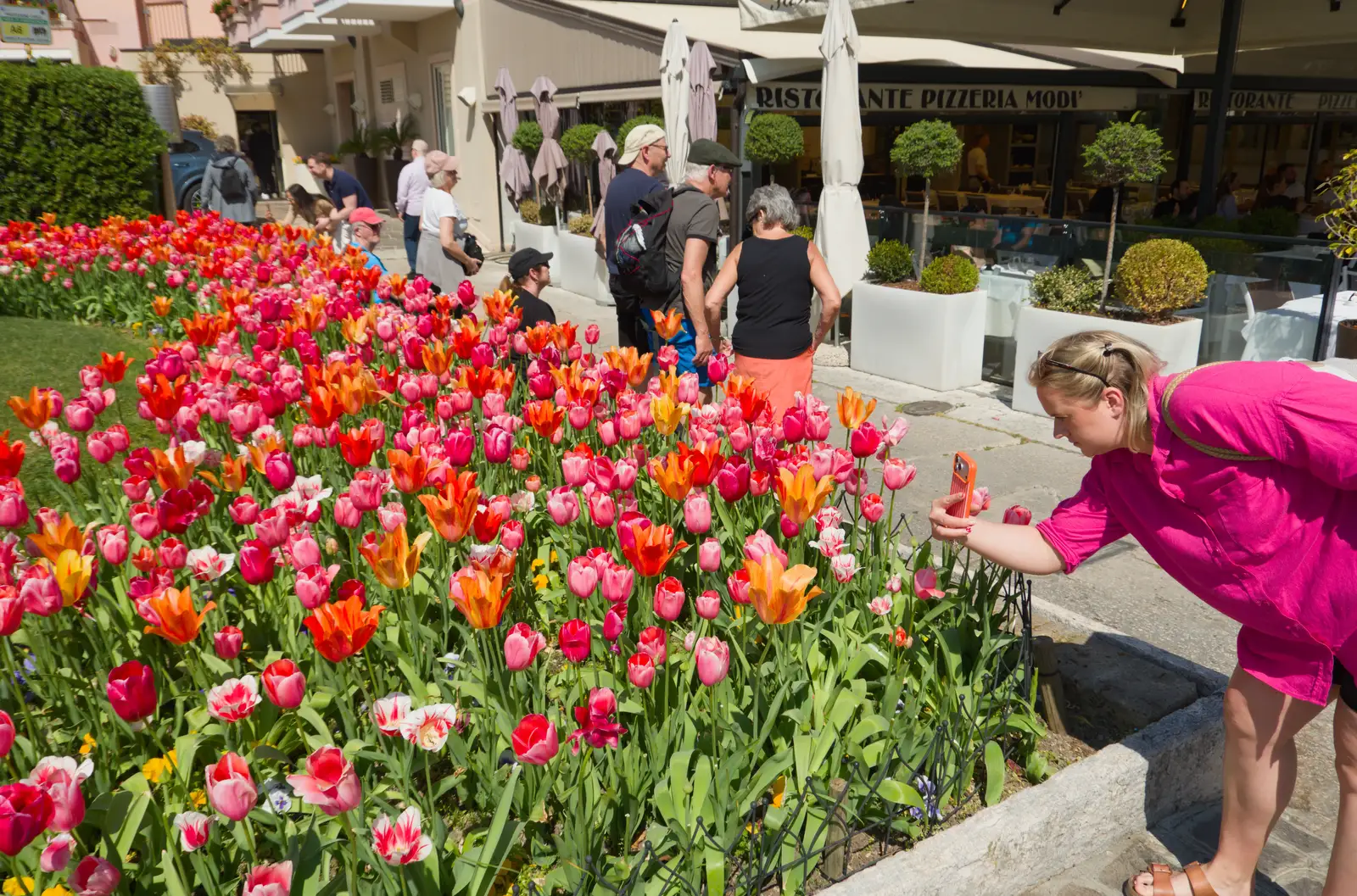 The tulips are definitely worth a shot for Insta, from Hauling Boats to Croatia: Toulon to Desenzano, Lake Garda, Italy - 11th April 2026