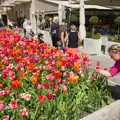 The tulips are definitely worth a shot for Insta, Hauling Boats to Croatia: Toulon to Desenzano, Lake Garda, Italy - 11th April 2026