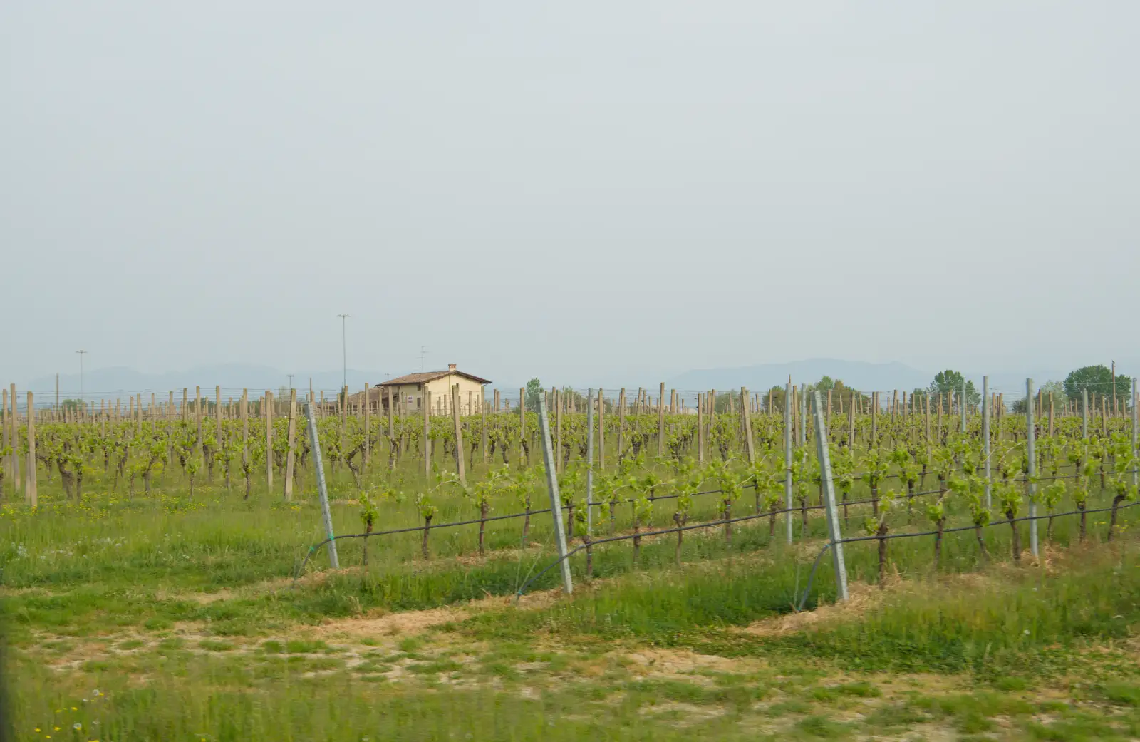 We're definitely in wine country, from Hauling Boats to Croatia: Desenzano to Split, Croatia - 13th April 2026