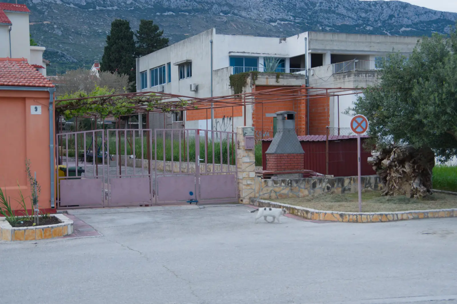 A spotty cat roams around opposite the marina, from Hauling Boats to Croatia: Desenzano to Split, Croatia - 13th April 2026