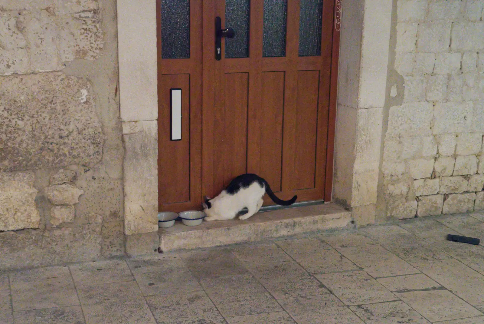 Pablo the Cat chases an insect, from Hauling Boats to Croatia: Desenzano to Split, Croatia - 13th April 2026