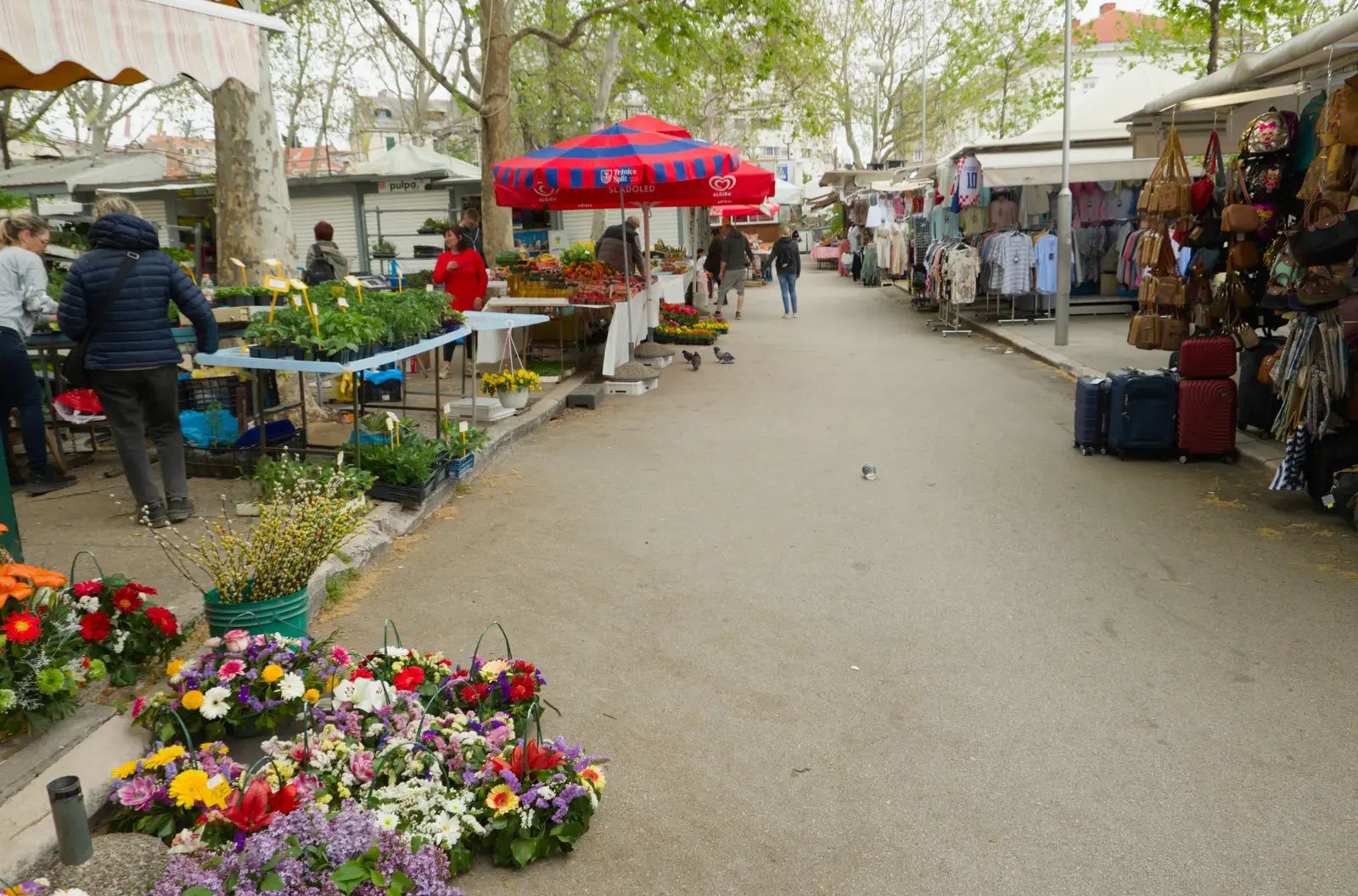 Flowers in the market, from Hauling Boats to Croatia: Desenzano to Split, Croatia - 13th April 2026