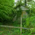 A shed merges with the undergrowth, A Visit to the Cottage and Lunch With Sis, Throwleigh, Devon - 4th May 2026