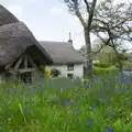 Bluebells in the churchyard at Throwleigh, A Visit to the Cottage and Lunch With Sis, Throwleigh, Devon - 4th May 2026