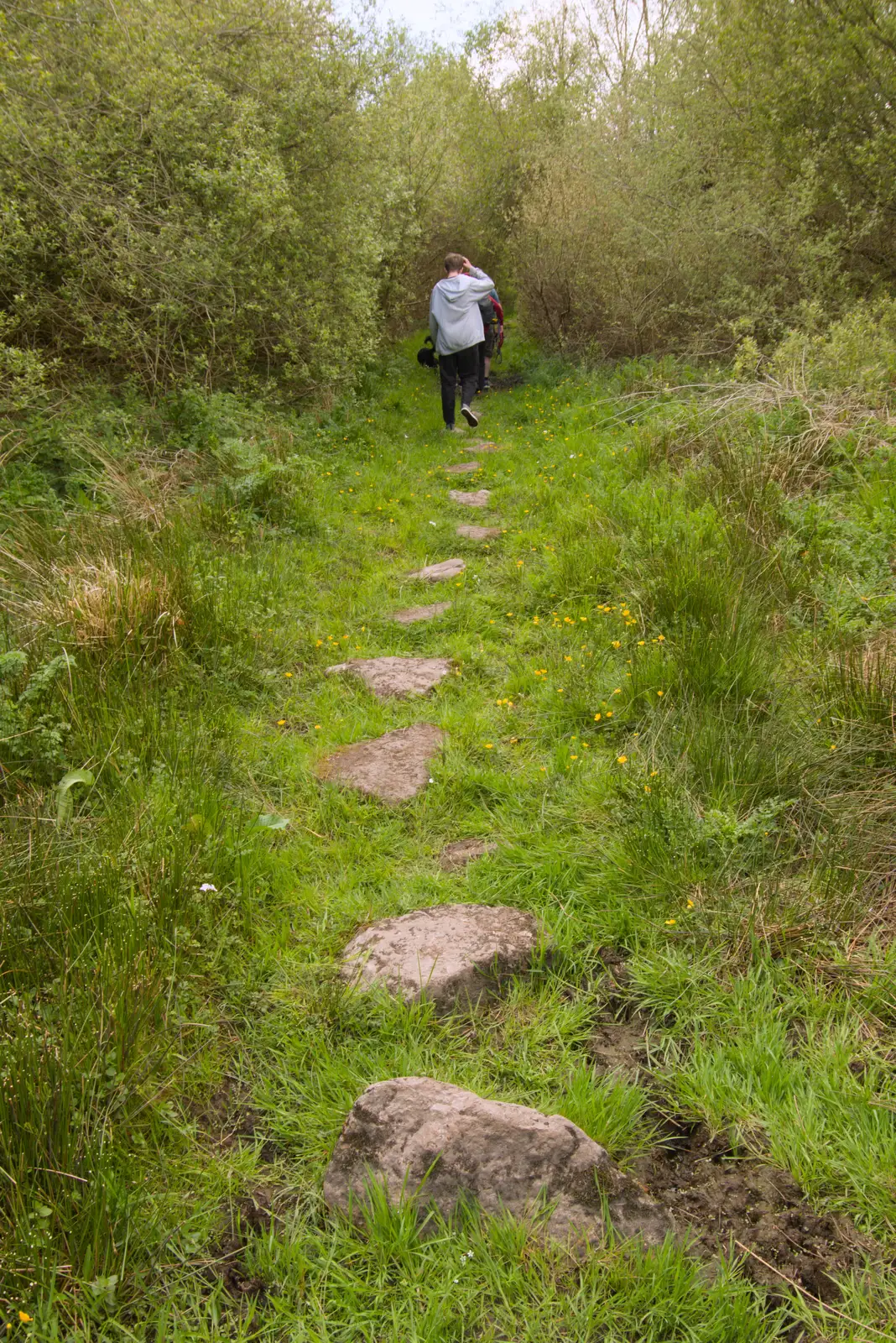 Stepping stones through the boggy ground, from A Visit to the Cottage and Lunch With Sis, Throwleigh, Devon - 4th May 2026