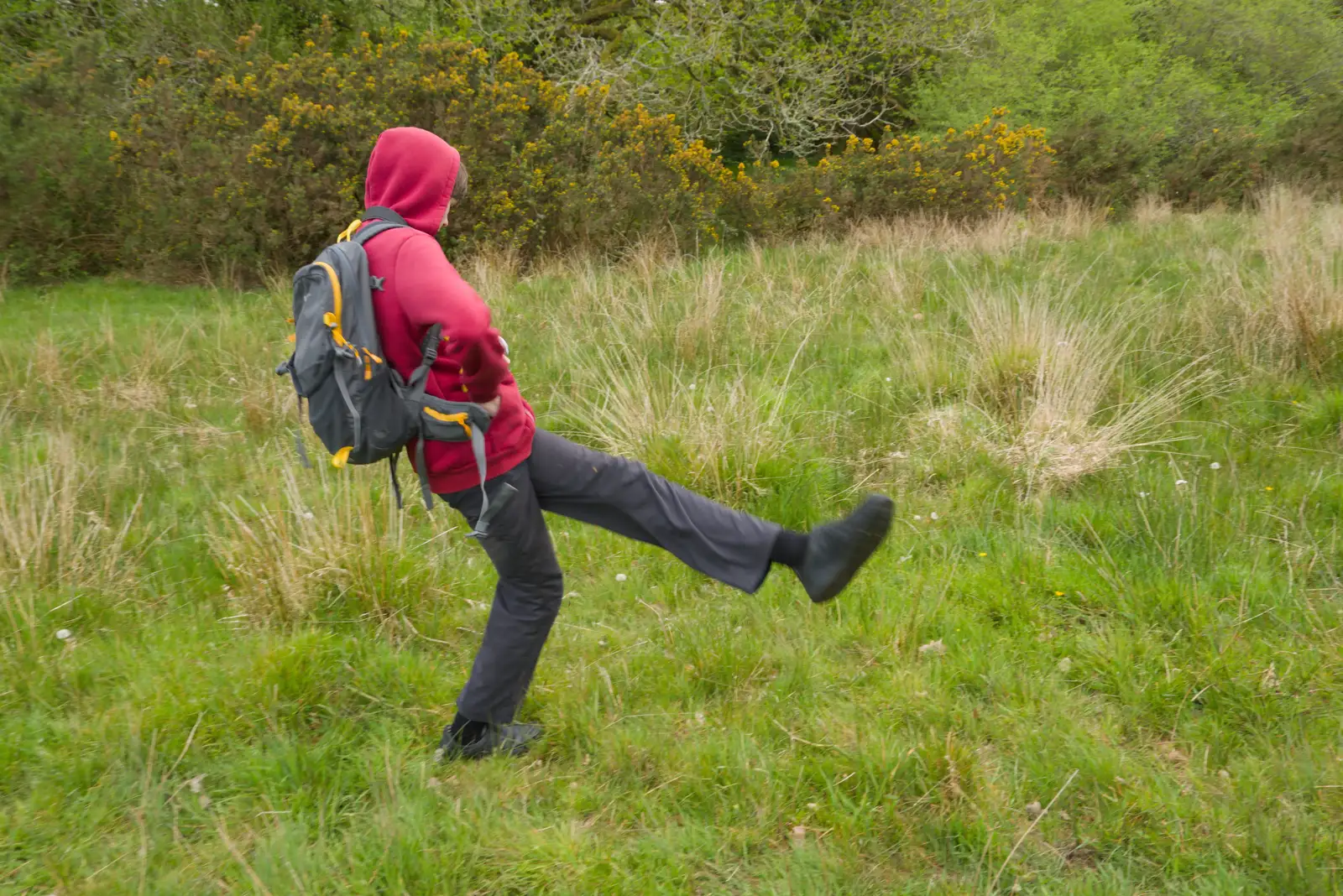 Harry kicks some dandelion seed-heads , from A Visit to the Cottage and Lunch With Sis, Throwleigh, Devon - 4th May 2026