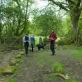 Harry looks back in the woods, A Visit to the Cottage and Lunch With Sis, Throwleigh, Devon - 4th May 2026