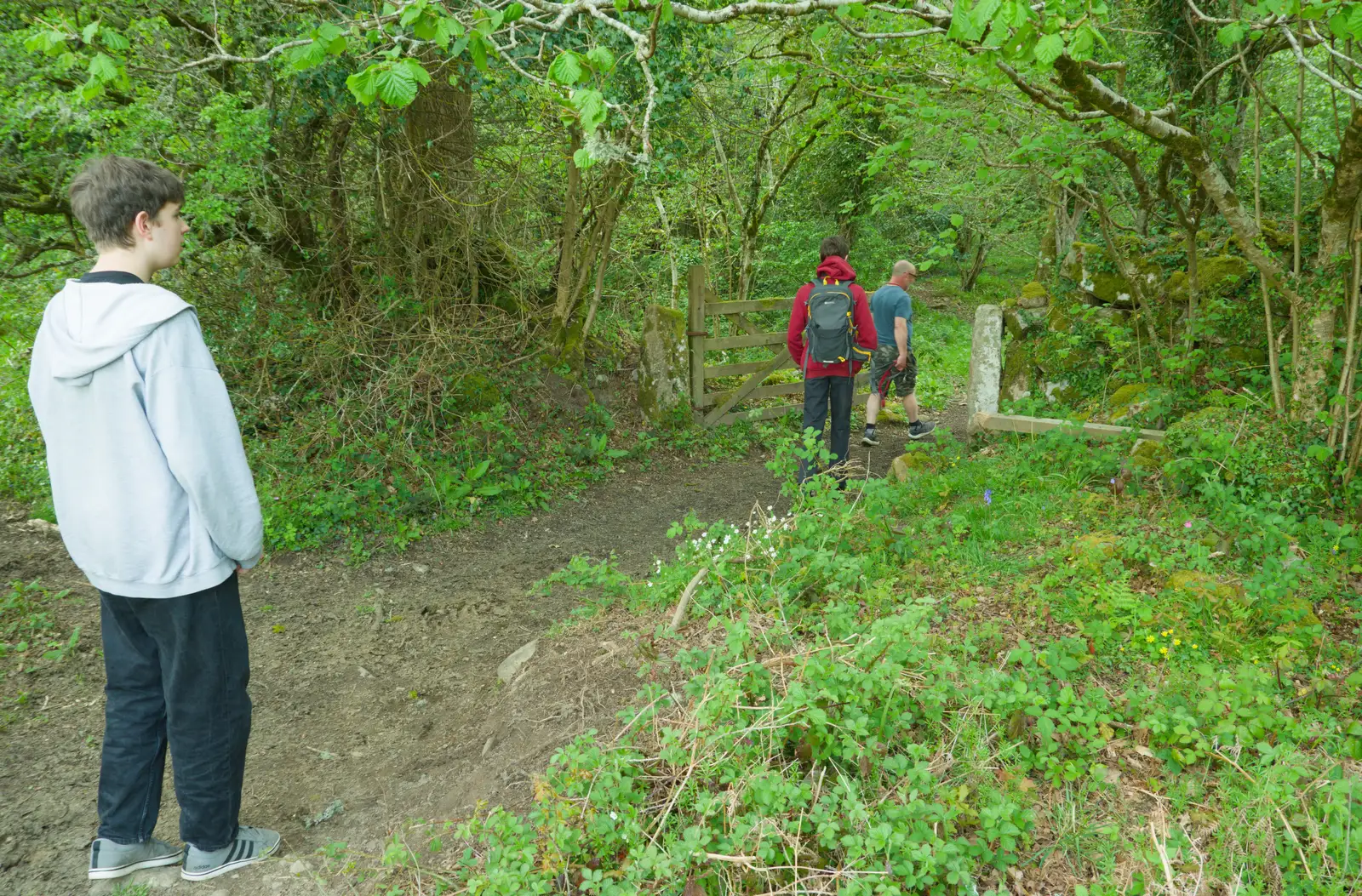Harry and Matt head off back up the path, from A Visit to the Cottage and Lunch With Sis, Throwleigh, Devon - 4th May 2026