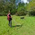Harry roams around with his stick, A Visit to the Cottage and Lunch With Sis, Throwleigh, Devon - 4th May 2026