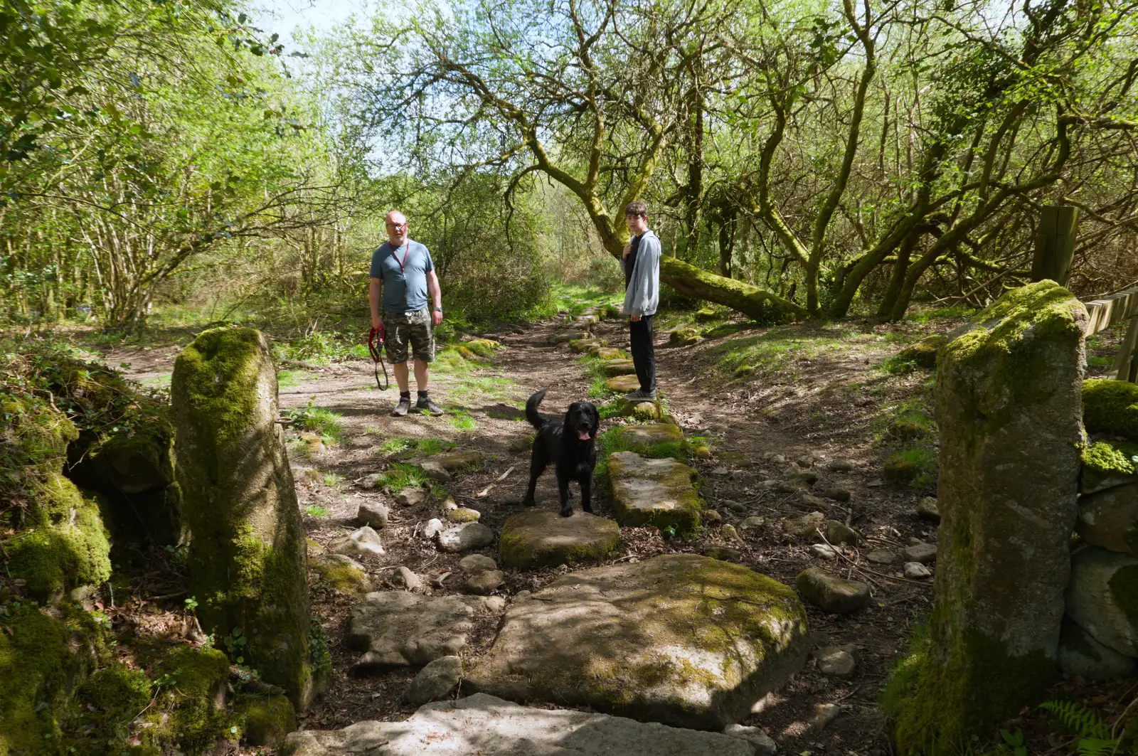 Matt, Fred and Doug Dog near Throwleigh, from A Visit to the Cottage and Lunch With Sis, Throwleigh, Devon - 4th May 2026