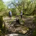 Matt, Fred and Doug Dog near Throwleigh, A Visit to the Cottage and Lunch With Sis, Throwleigh, Devon - 4th May 2026