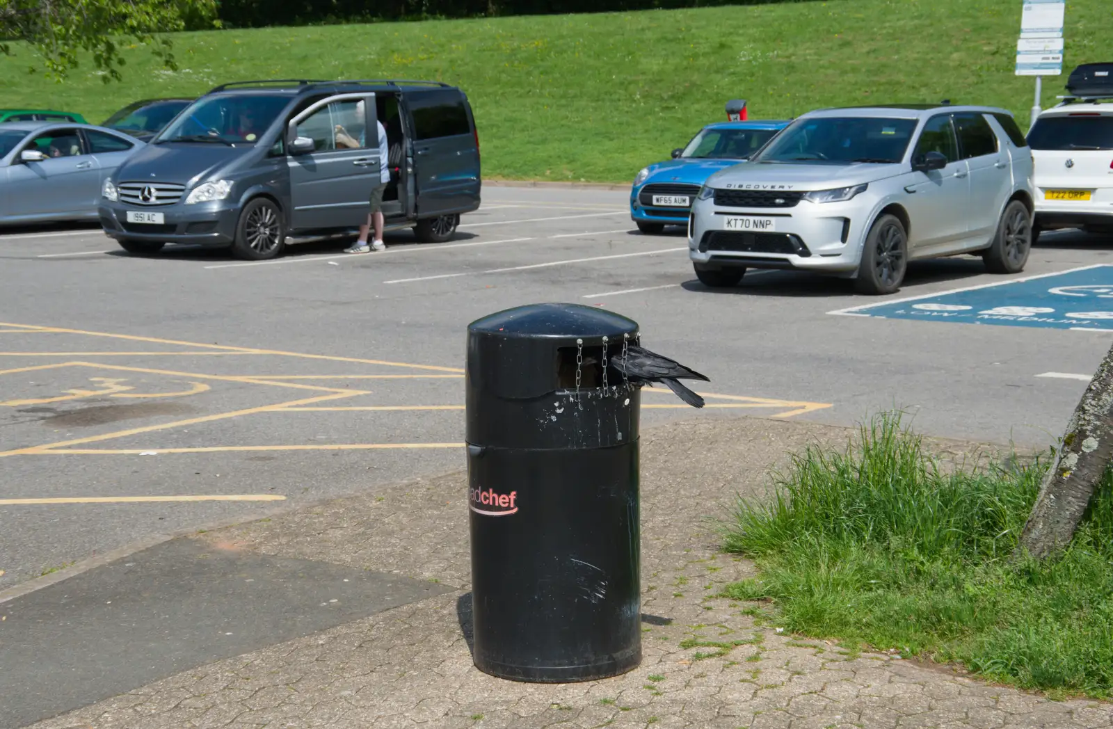 The anti-bird bin chains aren't working, from A Visit to the Cottage and Lunch With Sis, Throwleigh, Devon - 4th May 2026