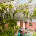 The wisteria is really going for it, A May Miscellany, Diss, Norwich and Garboldisham - 15th May 2026