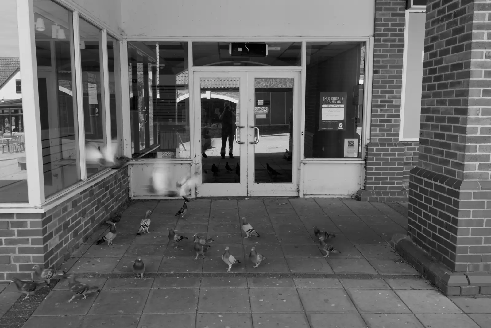 A closed shop and a load of pigeons, from A Visit to the Dentist, Stowmarket, Suffolk - 22nd May 2026
