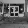 A closed shop and a load of pigeons, A Visit to the Dentist, Stowmarket, Suffolk - 22nd May 2026