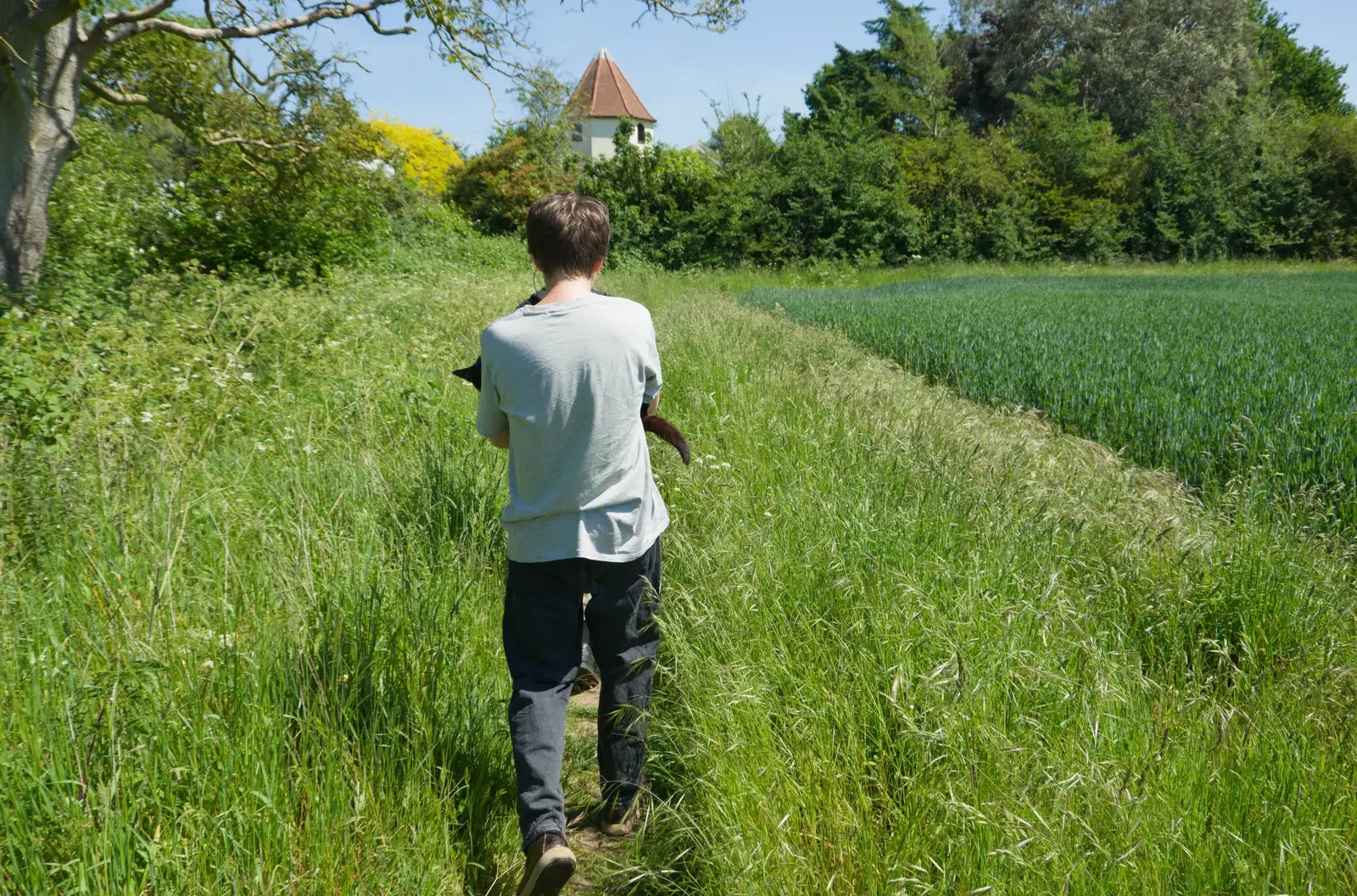 Fred scoops up one-eyed cat as we head off, from The Return of the Pub Walk: Brome to Diss - 24th May 2026