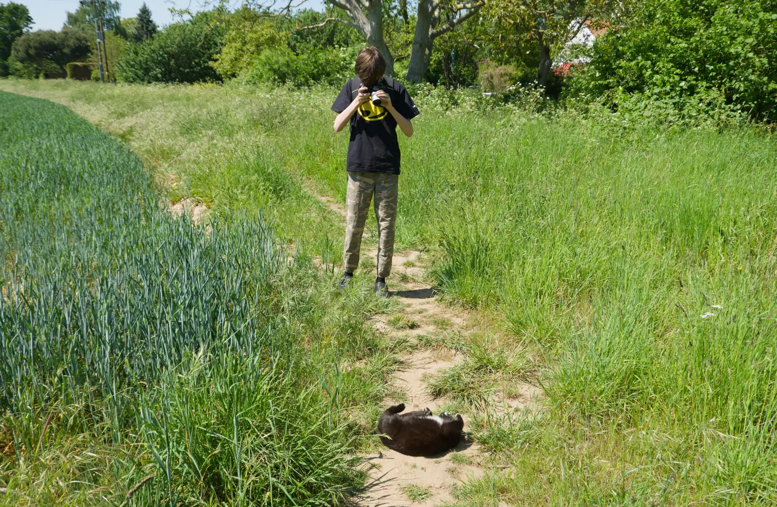 Lucy - one-eyed cat - rolls around, from The Return of the Pub Walk: Brome to Diss - 24th May 2026