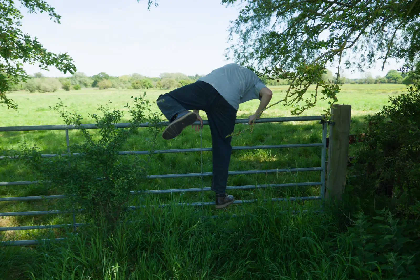 Fred takes a 'short cut' to avoid nettles, from The Return of the Pub Walk: Brome to Diss - 24th May 2026