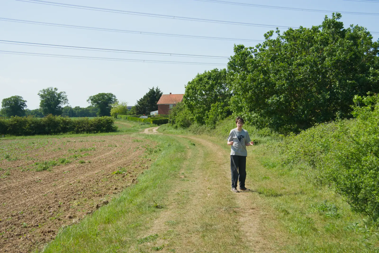 Fred waits on the path, from The Return of the Pub Walk: Brome to Diss - 24th May 2026
