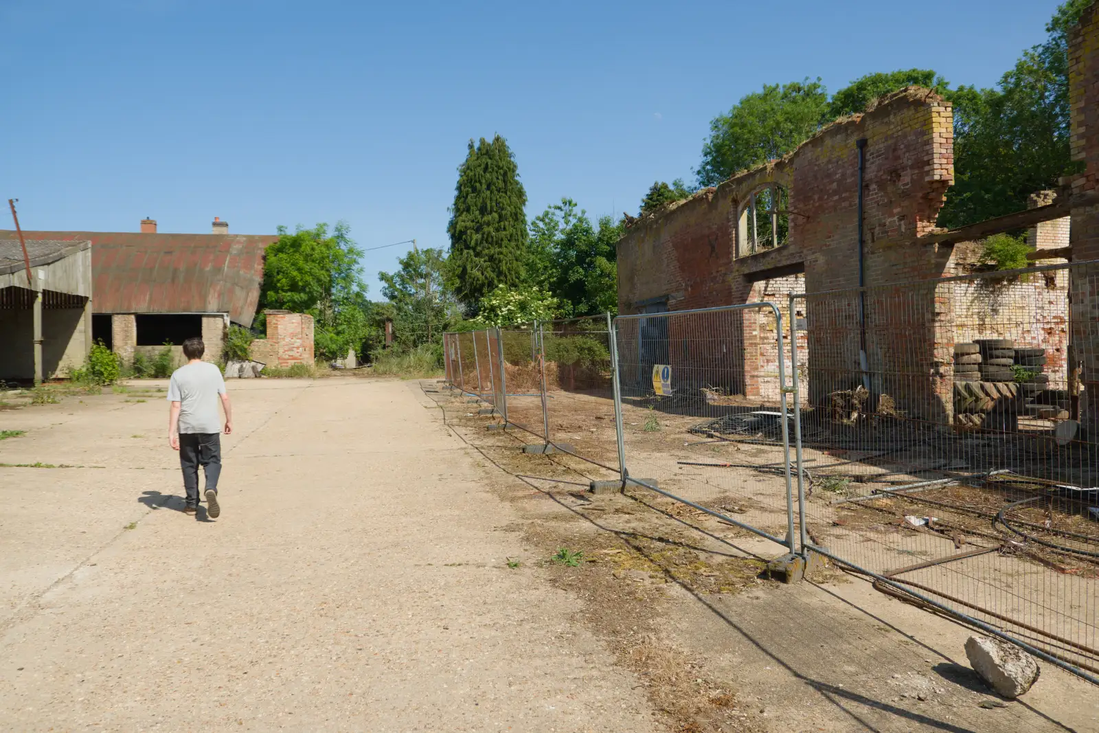 Fred roams around, from The Return of the Pub Walk: Brome to Diss - 24th May 2026