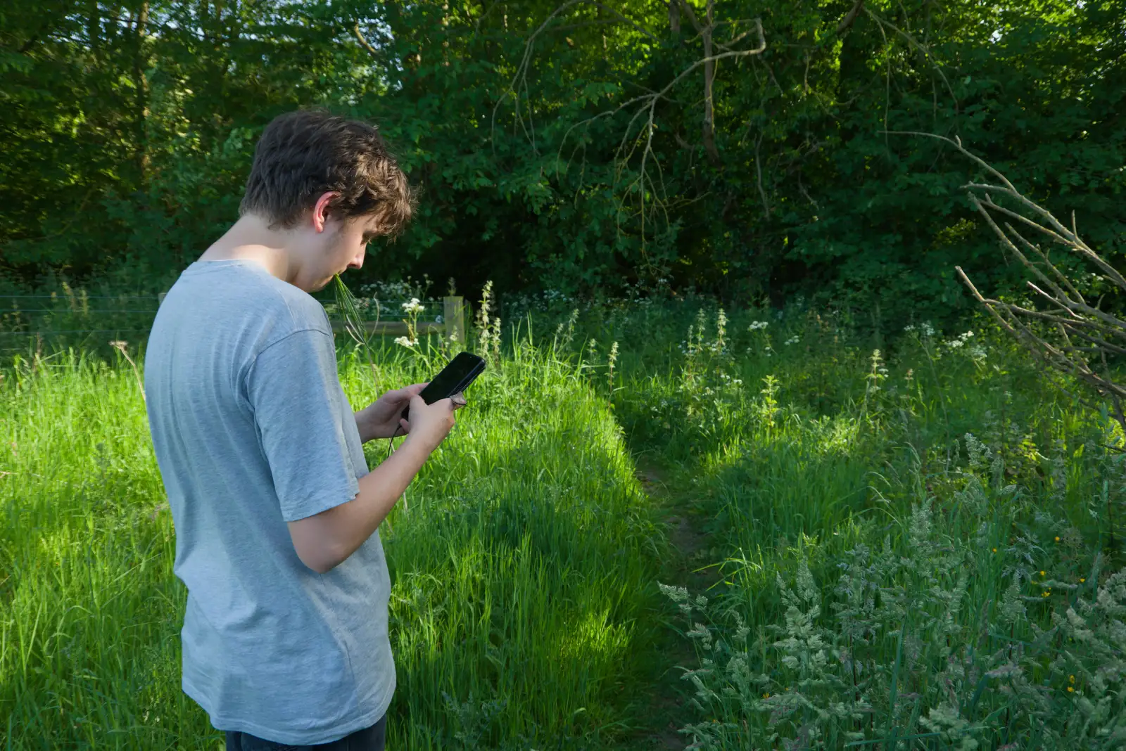 There's a pause to check for phone updates, from The Return of the Pub Walk: Brome to Diss - 24th May 2026