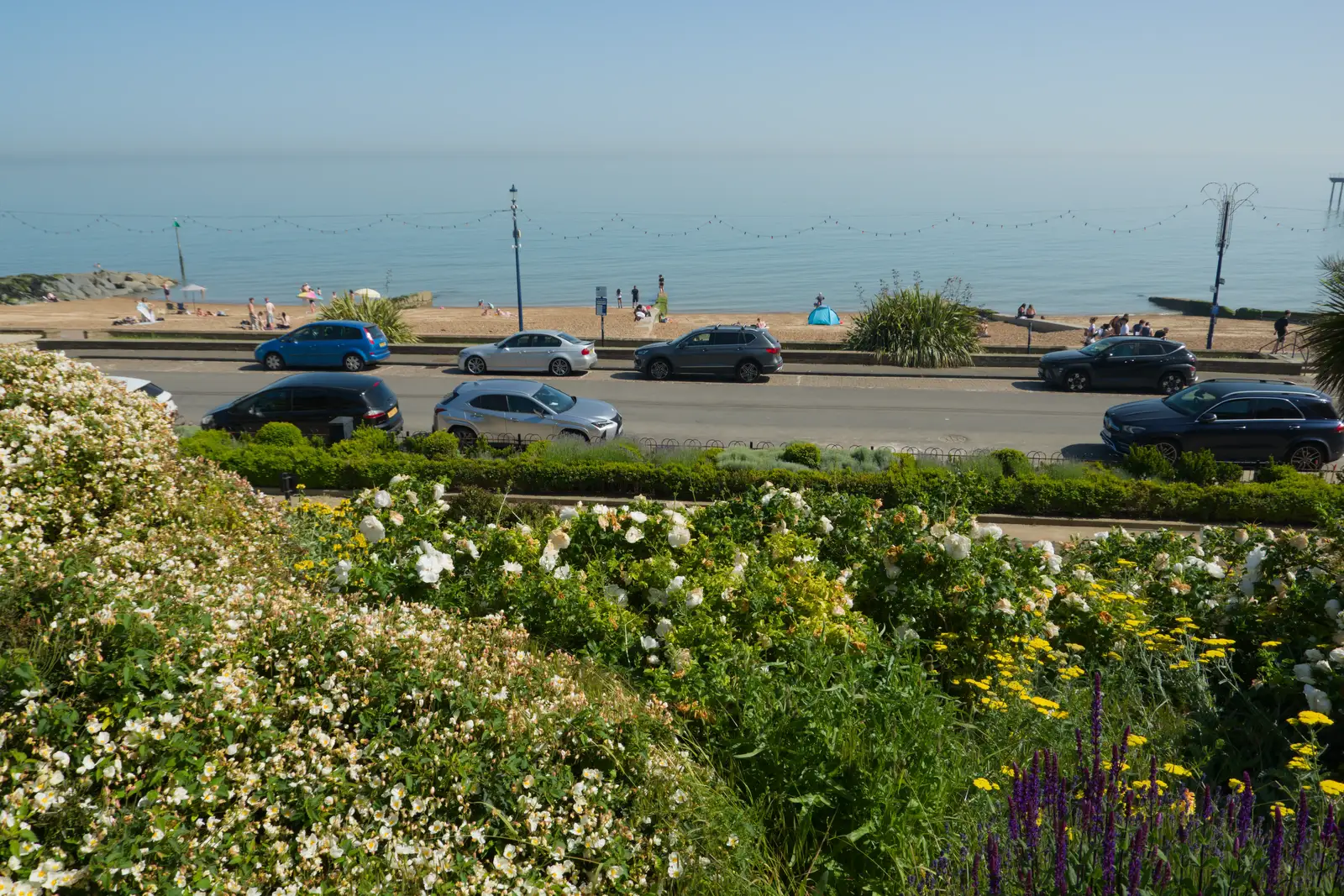 Flowers on the cliff, from A Birthday Lunch in Felixstowe, Suffolk - 26th May 2026