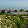Flowers on the cliff, A Birthday Lunch in Felixstowe, Suffolk - 26th May 2026
