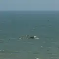 A fishing boat with a cloud of seagulls, A Bus Trip to Wells Next the Sea, Norfolk - 28th May 2026