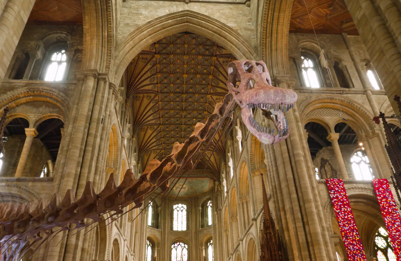 A titanosaurus skeleton in the cathedral, from A Postcard From Peterborough, Cambridgeshire - 29th May 2026