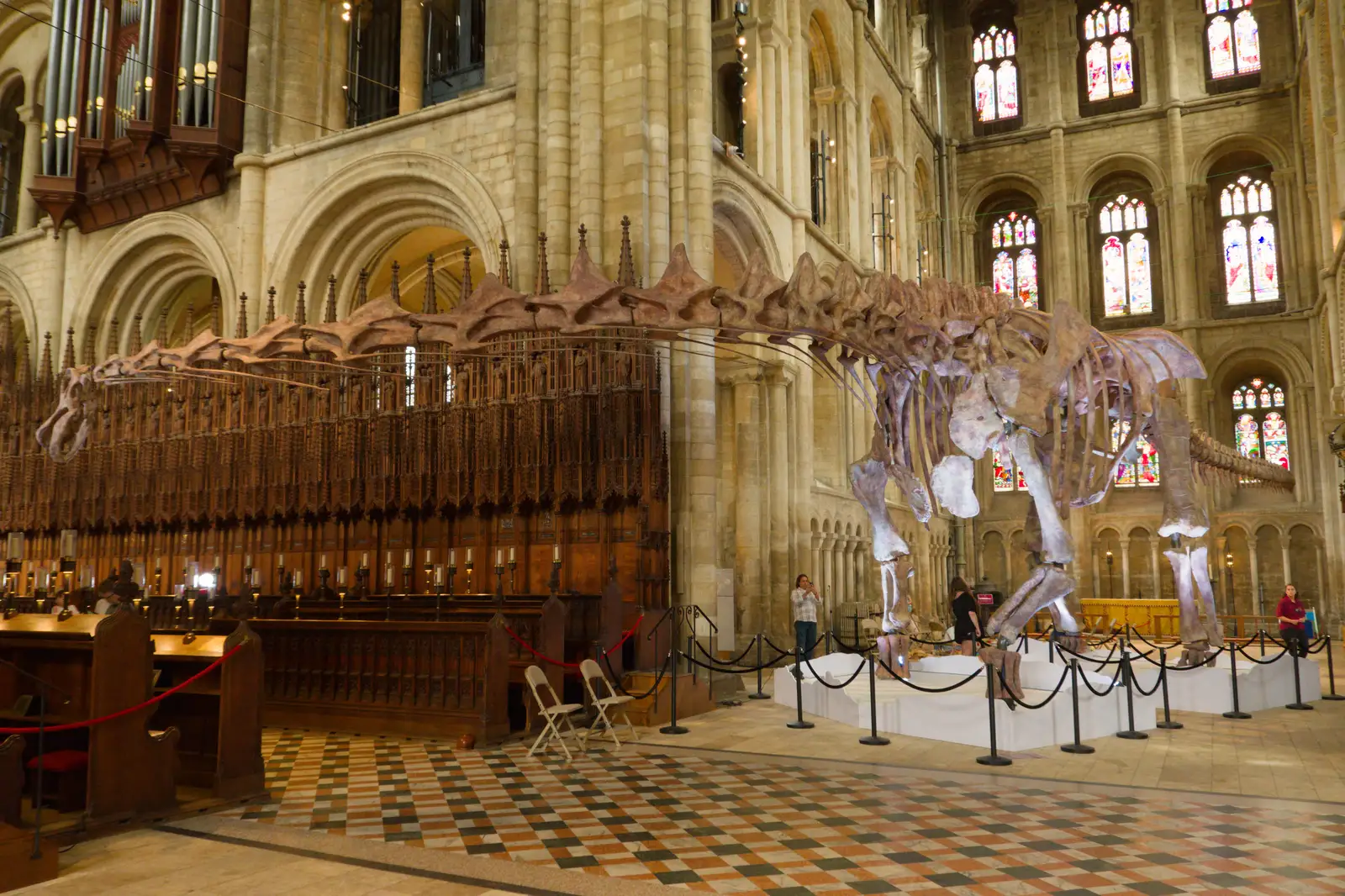The titanosaur, from one end to the other, from A Postcard From Peterborough, Cambridgeshire - 29th May 2026