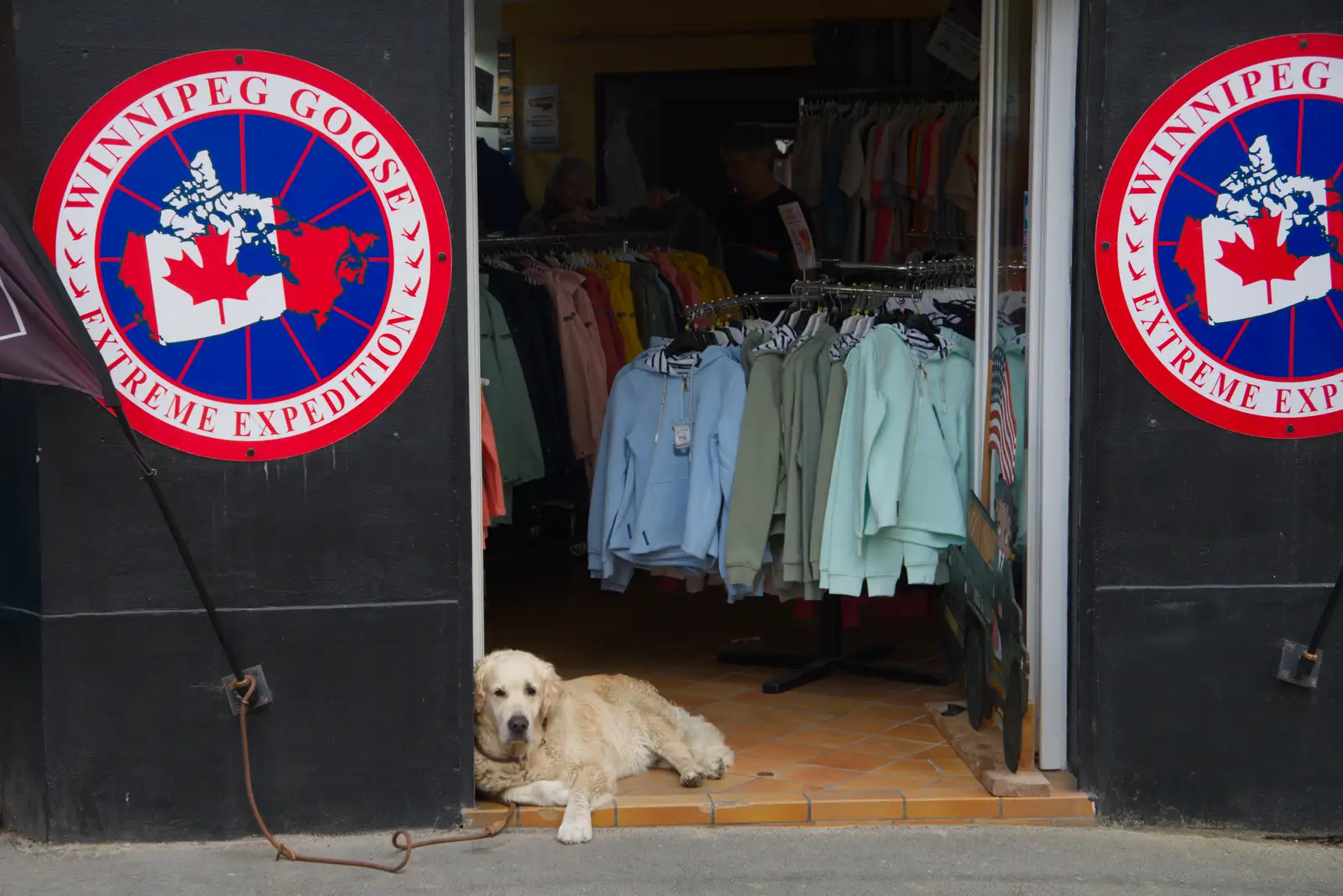 A dog sits in a shop door, bored, from Pegasus Bridge, the British Memorial and Arromaches, Normandy - 2nd June 2026