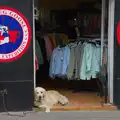 A dog sits in a shop door, bored, Pegasus Bridge, the British Memorial and Arromaches, Normandy - 2nd June 2026