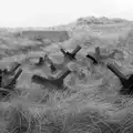 Tank traps behind the dunes, Quettehou, Sainte-Marie-du-Mont and the D-Day Museum, Utah Beach - 4th June 2026